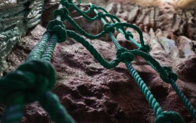 SUR LES TRACES DU DR STONE