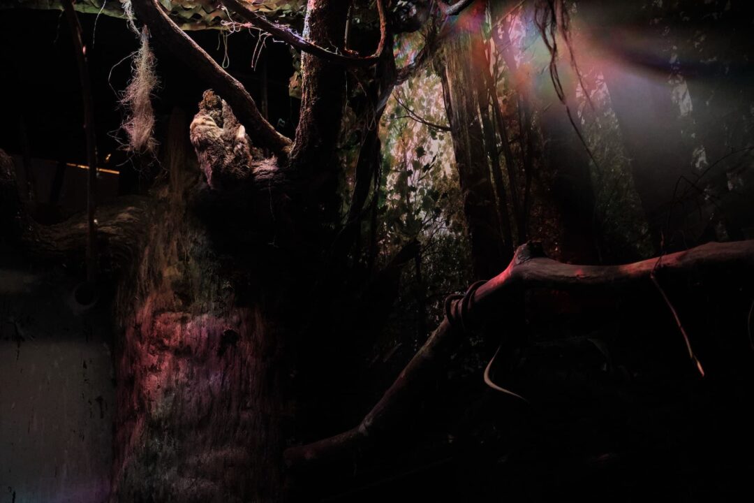 Sur les traces du Docteur Stone - SKpad - Escape game - Escape blog